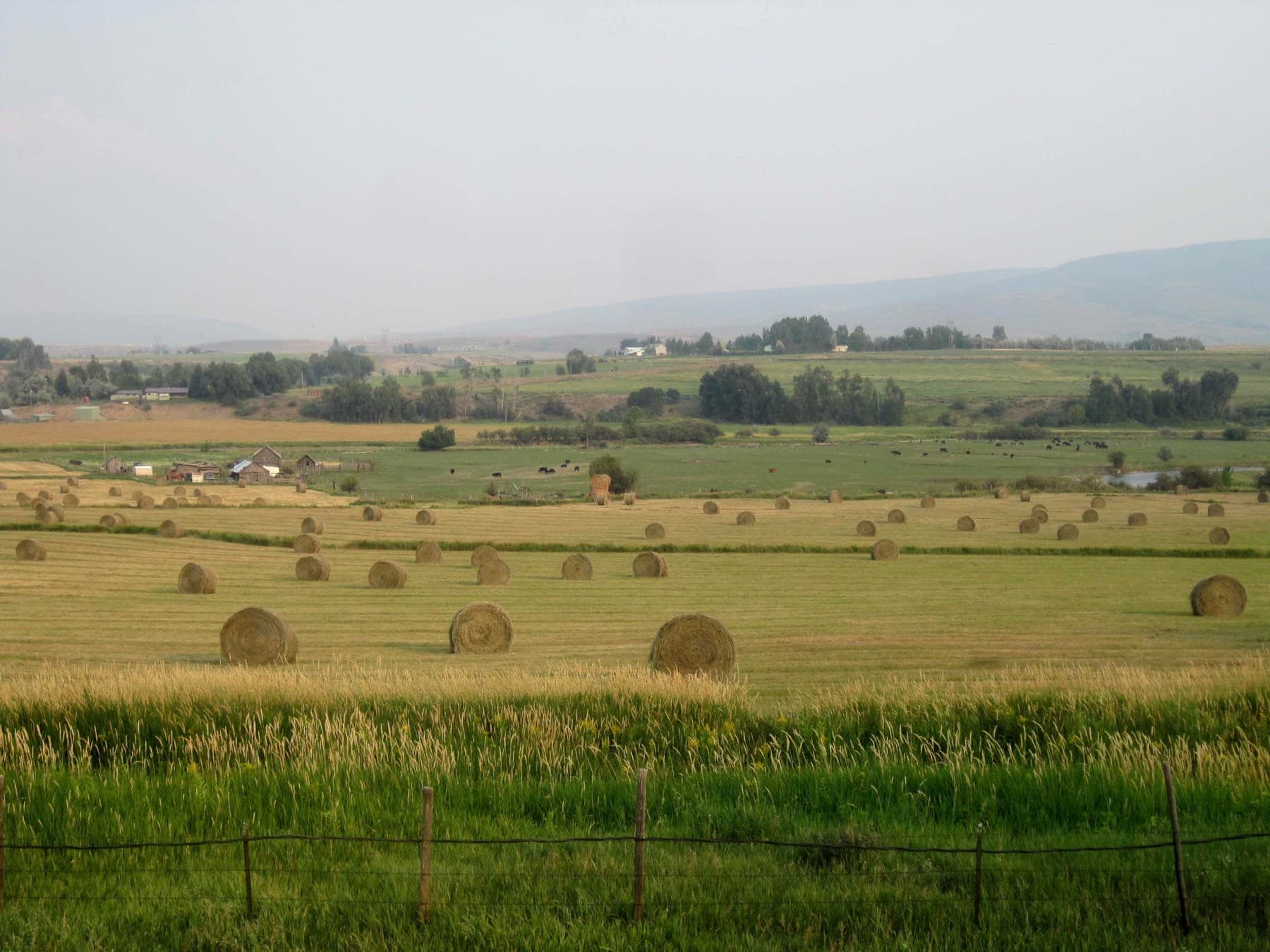 Meeker Chamber of Commerce