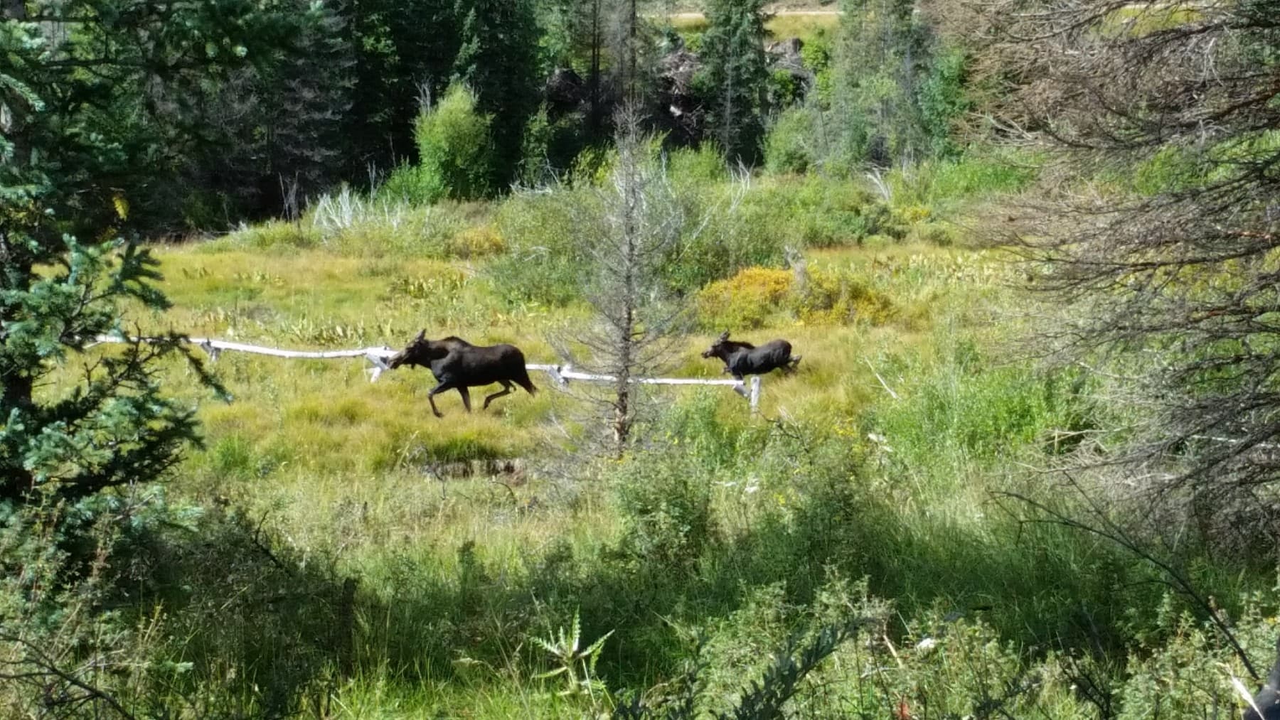 Creede/Mineral County Chamber of Commerce