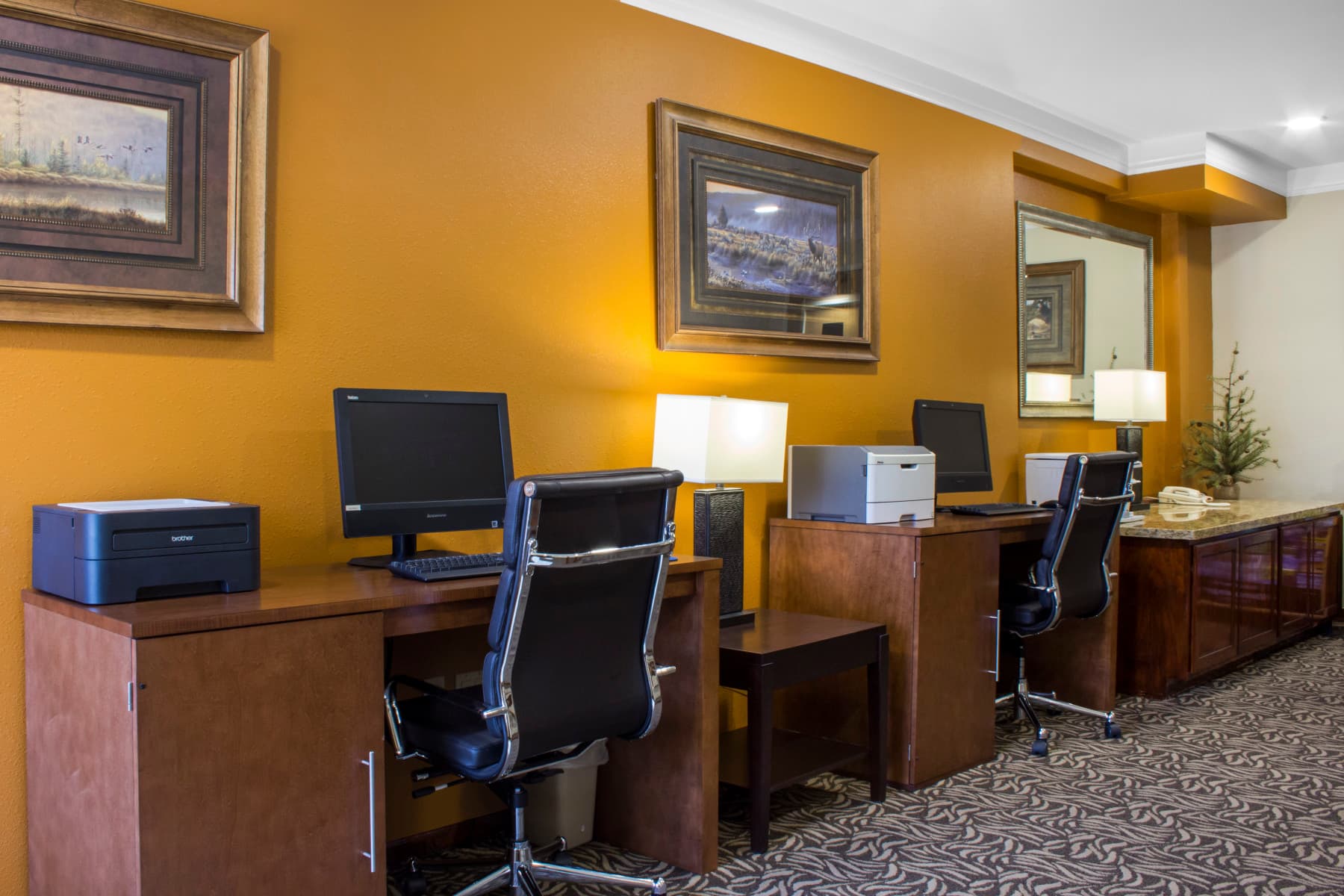 business lounge photo 3