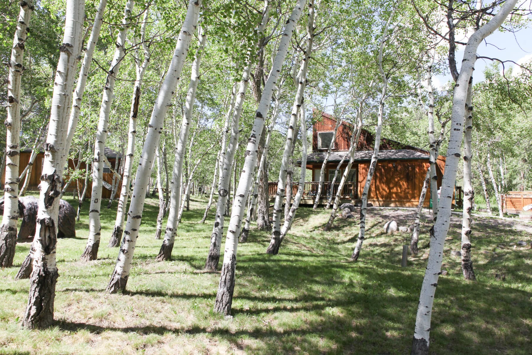 the lush mountain setting and the creekside make the chalets the perfect place for a getaway. photo 14