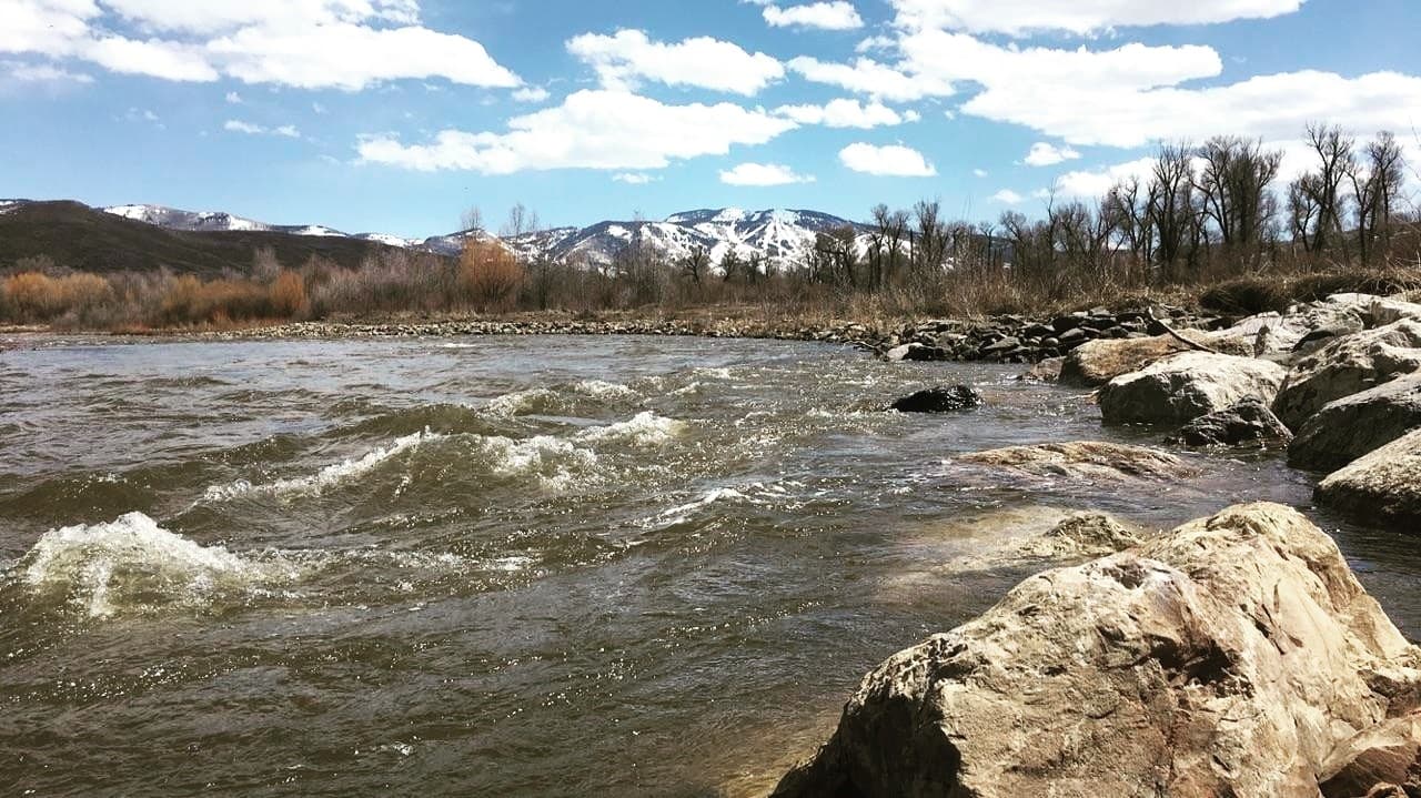 yampa river photo 4