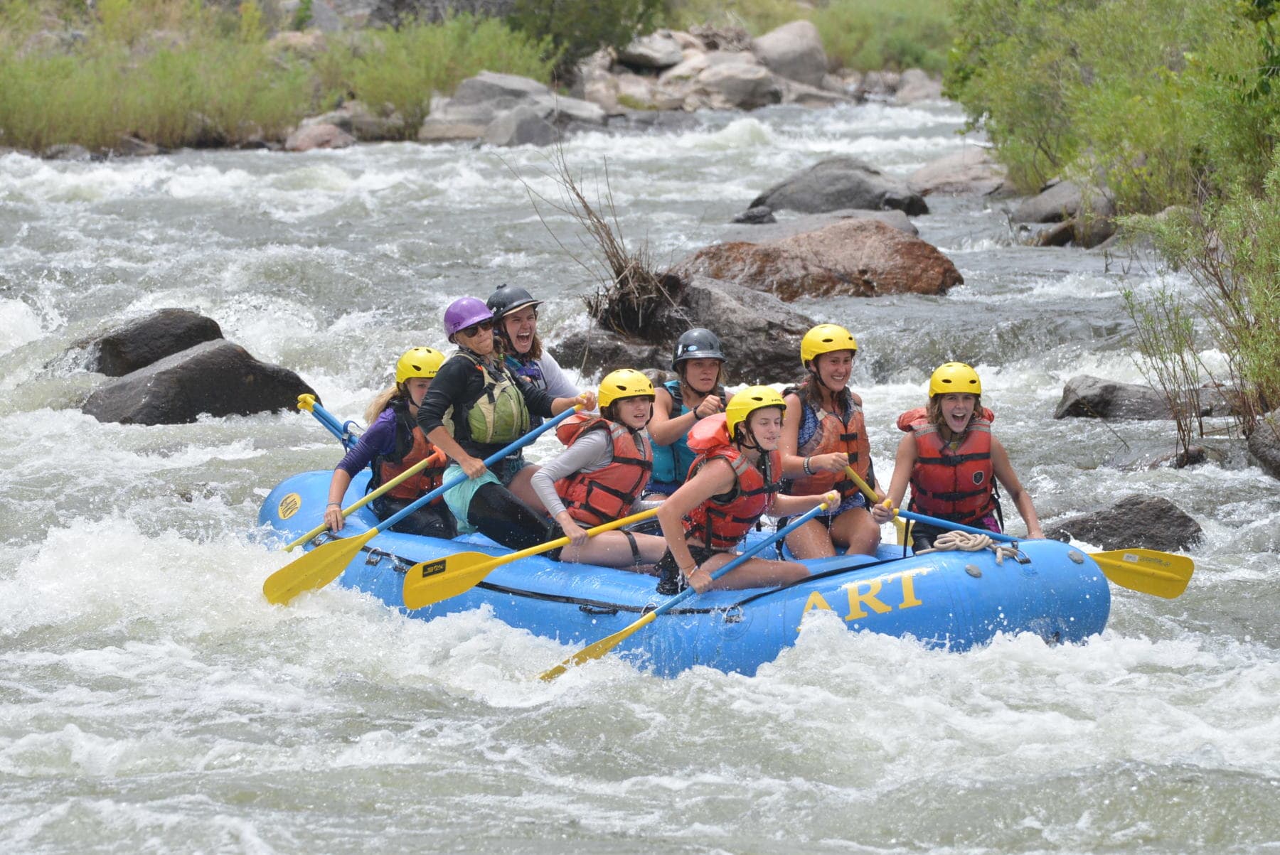 bighorn sheep whitewater rafting trips photo 8