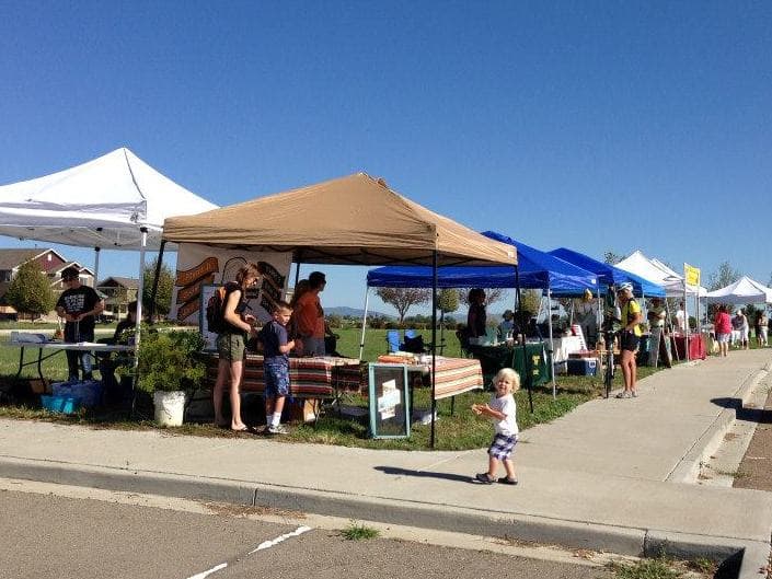 fun for all ages at the berthoud farmers and fleas tailgate market photo
