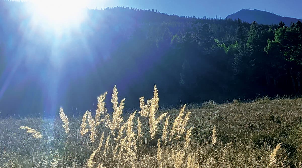 The white glow of a setting sun nearly dips behind the tall mountains in Evergreen, in front of a field of rye.