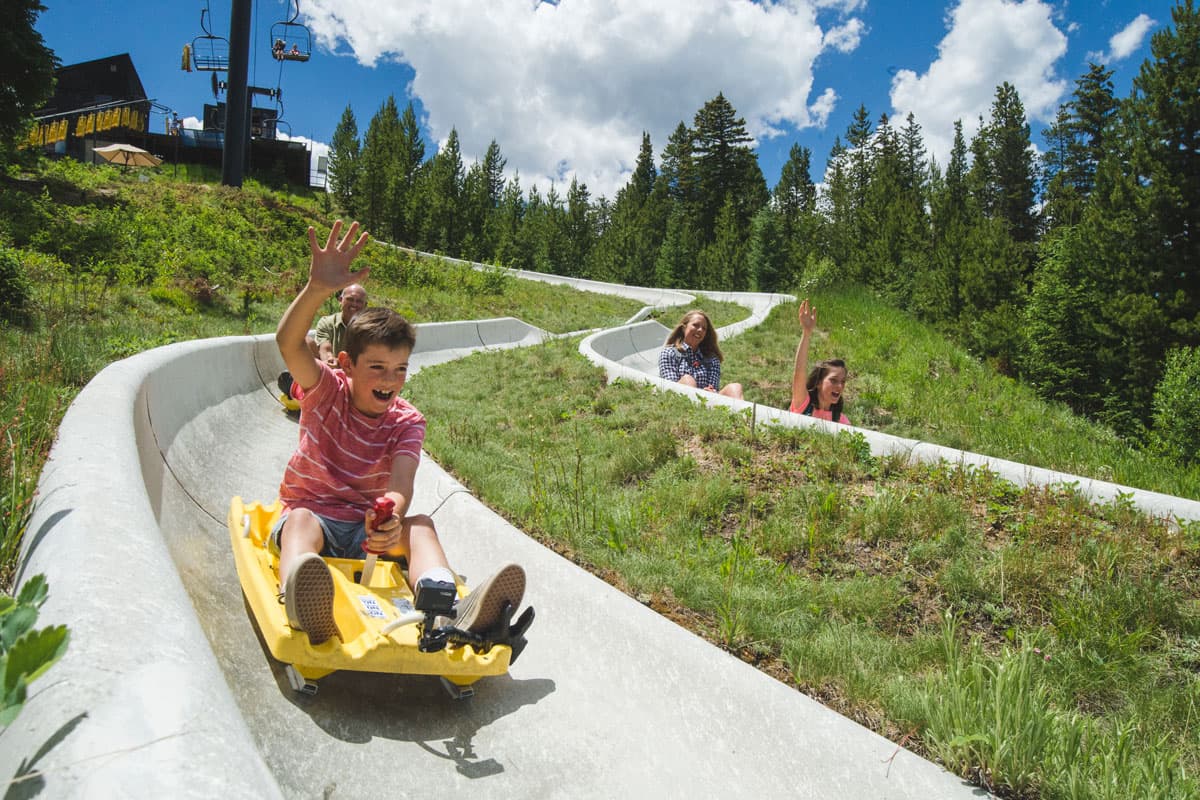 Children raising their hands as their family races down an alpine slide