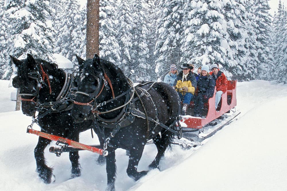 A horse-drawn sleigh glides through a snowy landscape in Durango