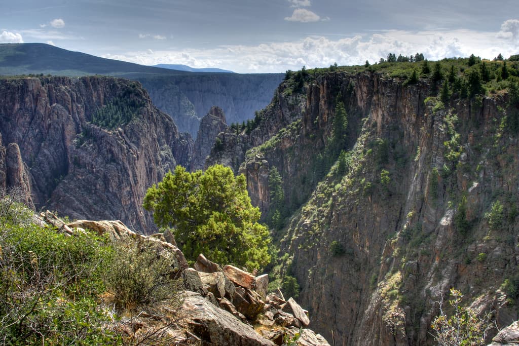 Small trees and shrubs cling to the steep rock walls of Black Canyon in Gunnison National Park near Montrose, Colorado.