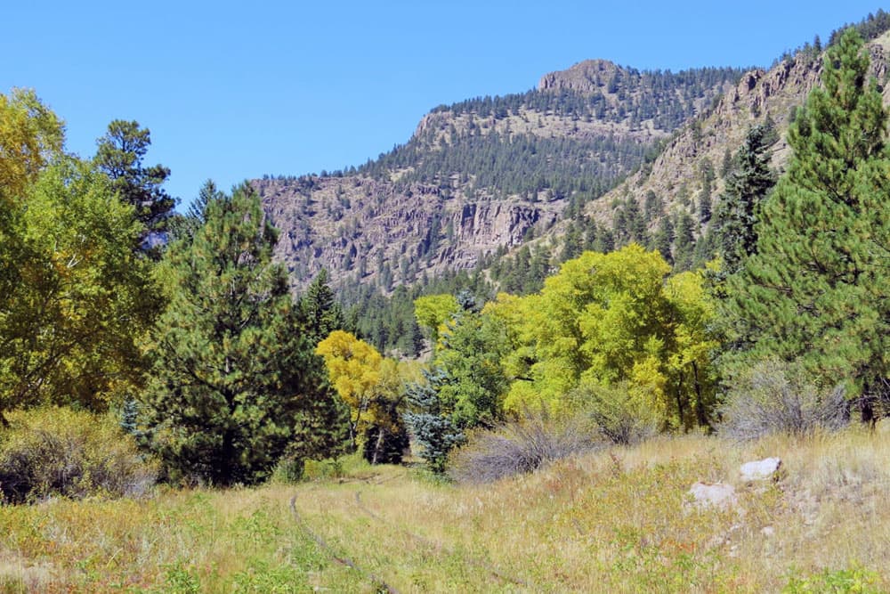 Abandoned railroad tracks peak out from the grass at Palisade campground in Colorado.