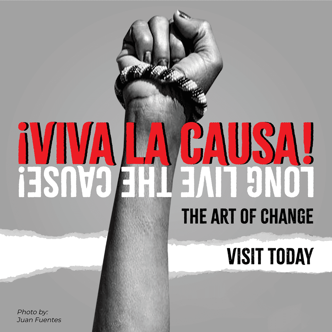 ¡viva la causa! long live the cause! the art of change photo