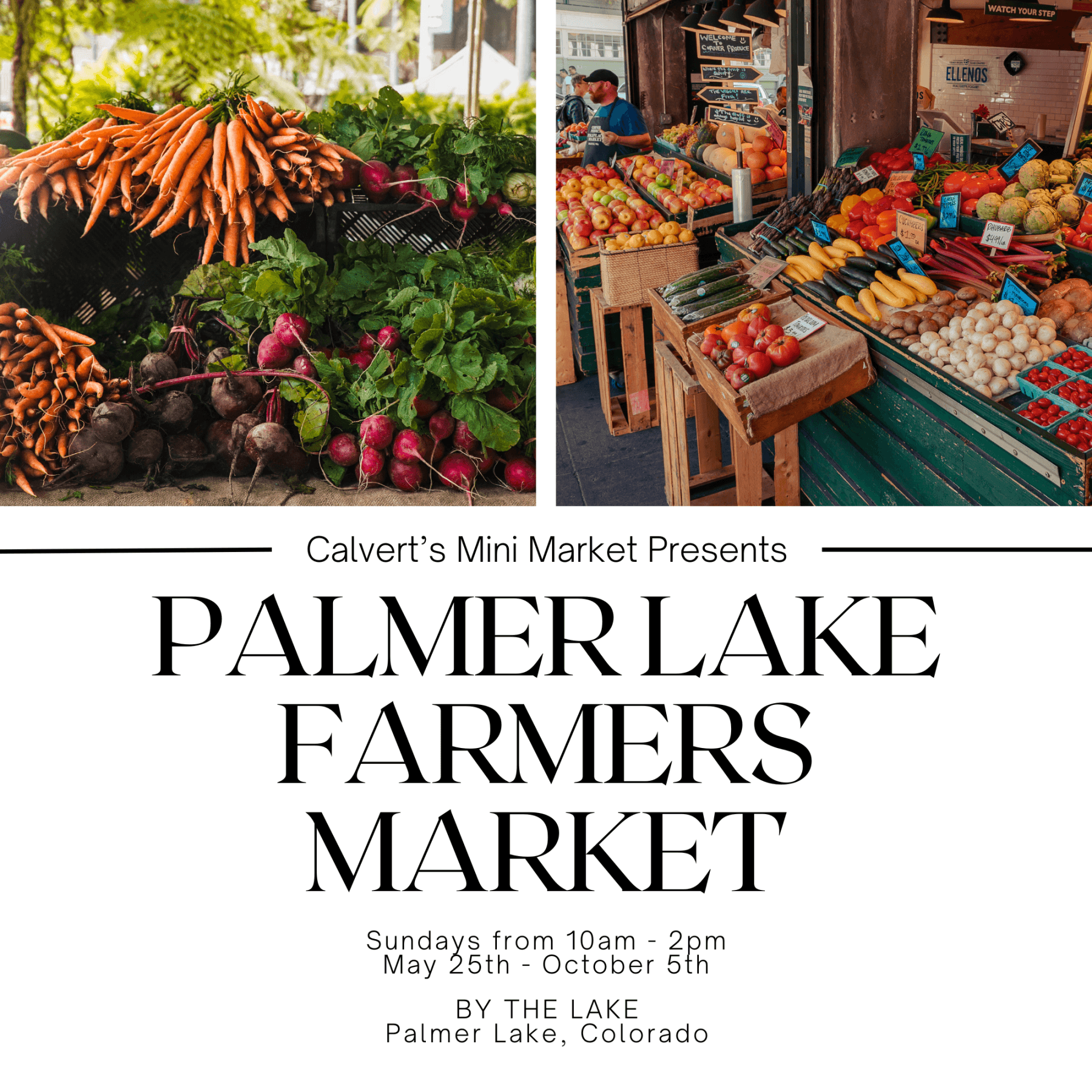 palmer lake farmers market photo