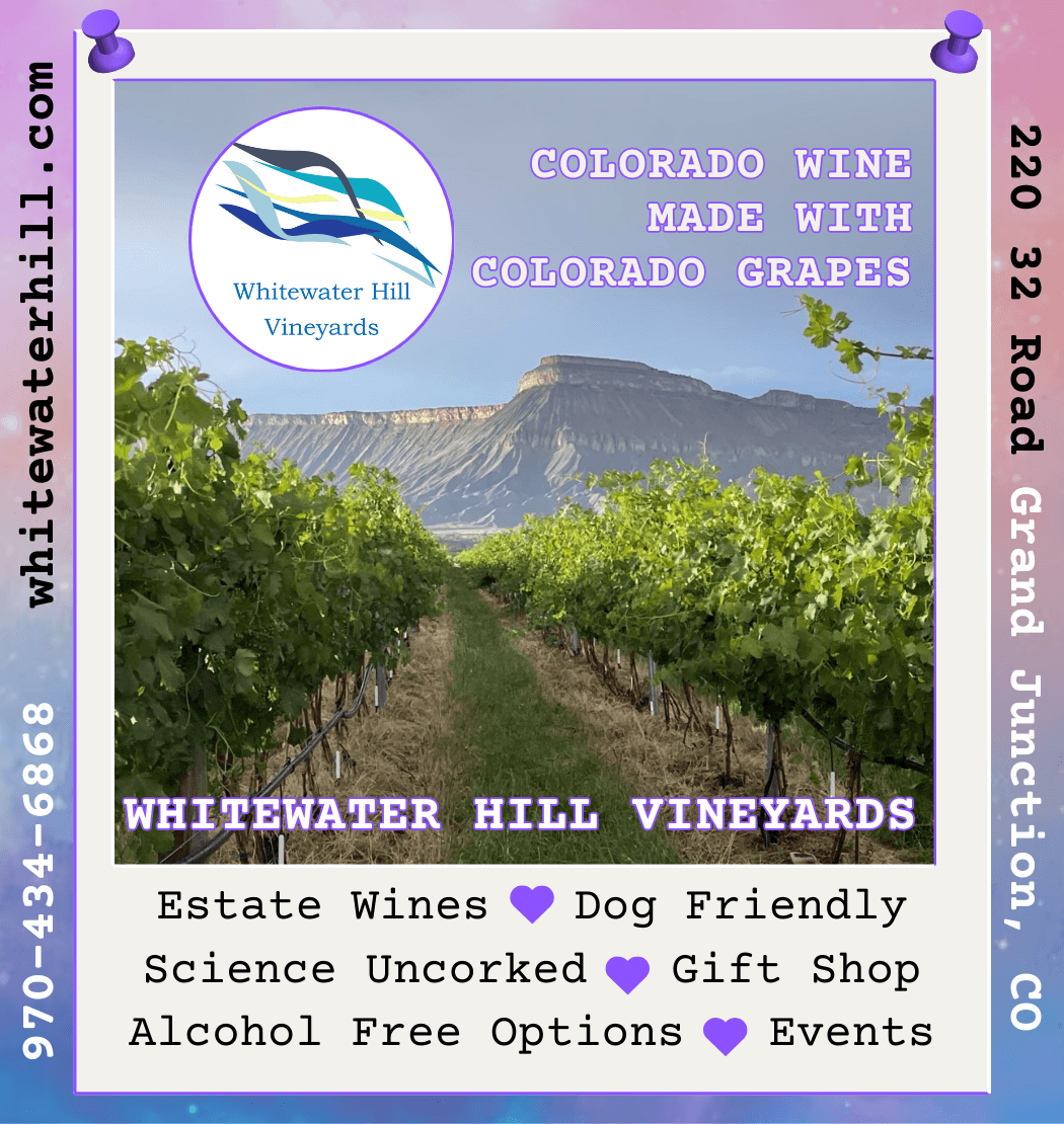 whitewater hill vineyards photo