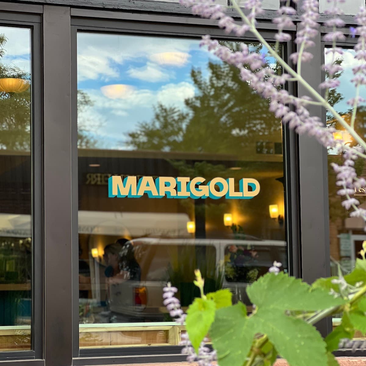 marigold lyons photo
