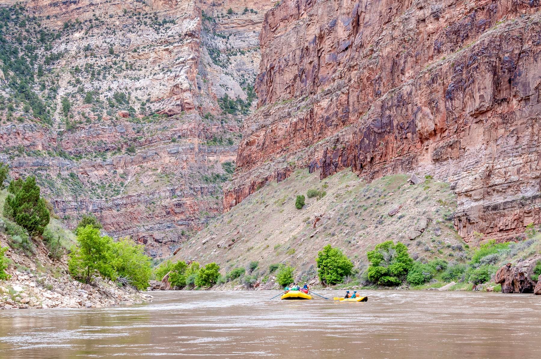 oars photo