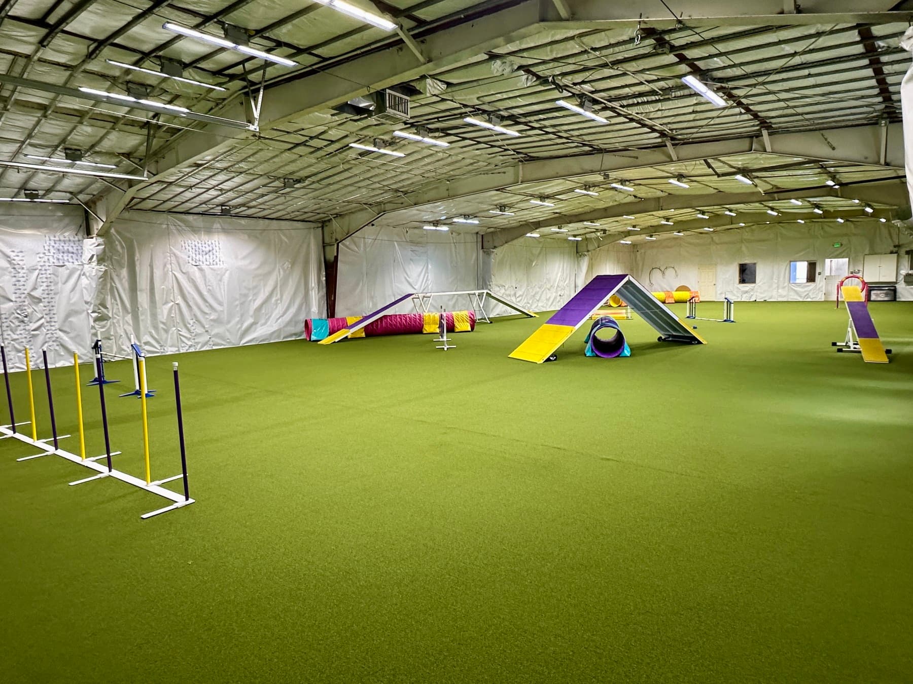 canine athletics training center photo