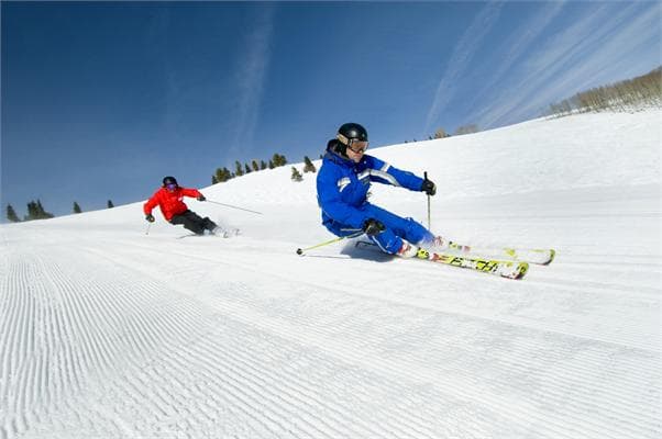 carving it up photo