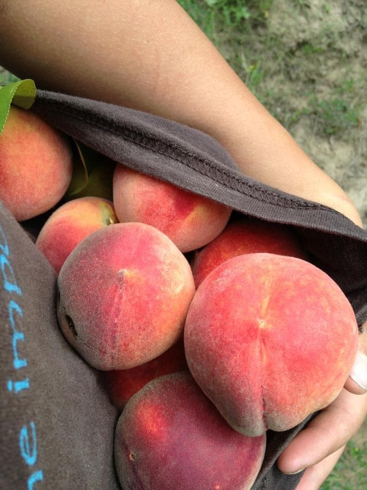 chimney rock farm & market photo