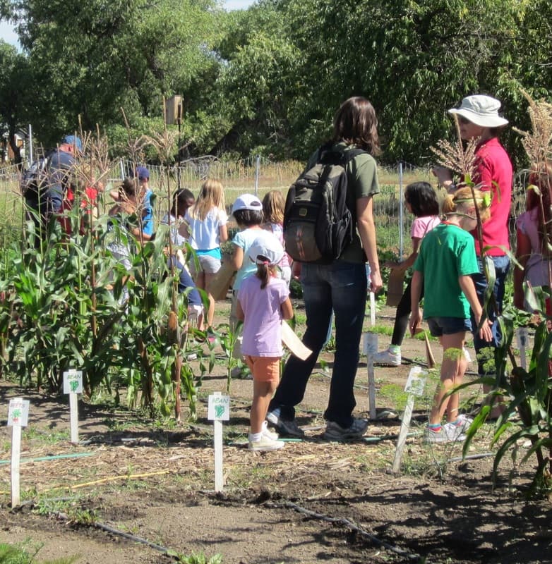 calf ranch photo