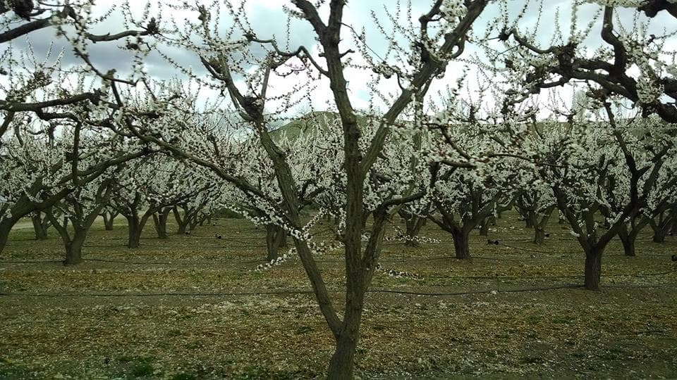 pope farm produce photo