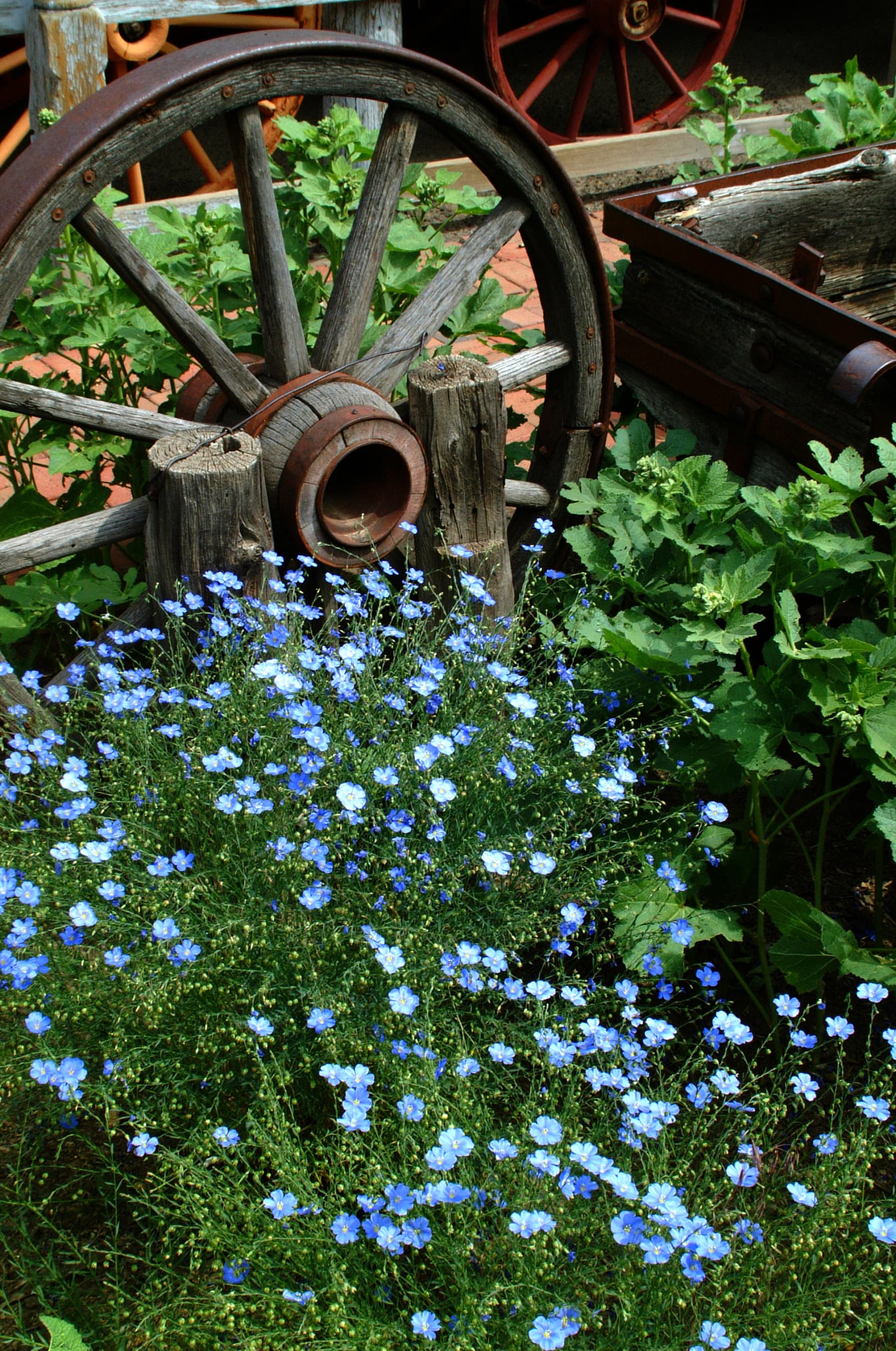 trinidad history museum photo 3