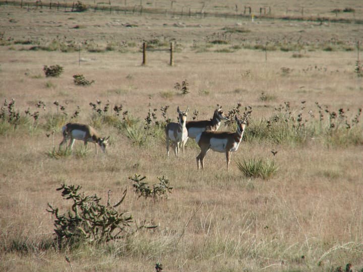 mega mountain magic photo
