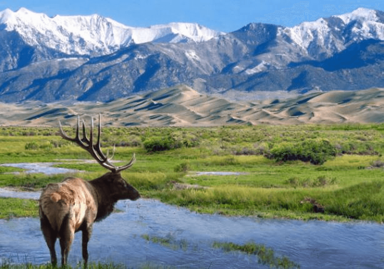 great sand dunes national park and preserve photo