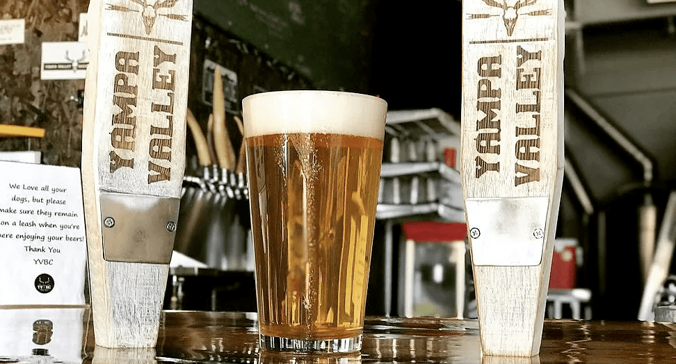 yampa valley brewing photo