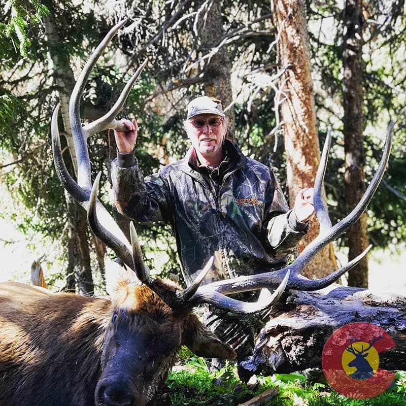 colorado elk hunting photo