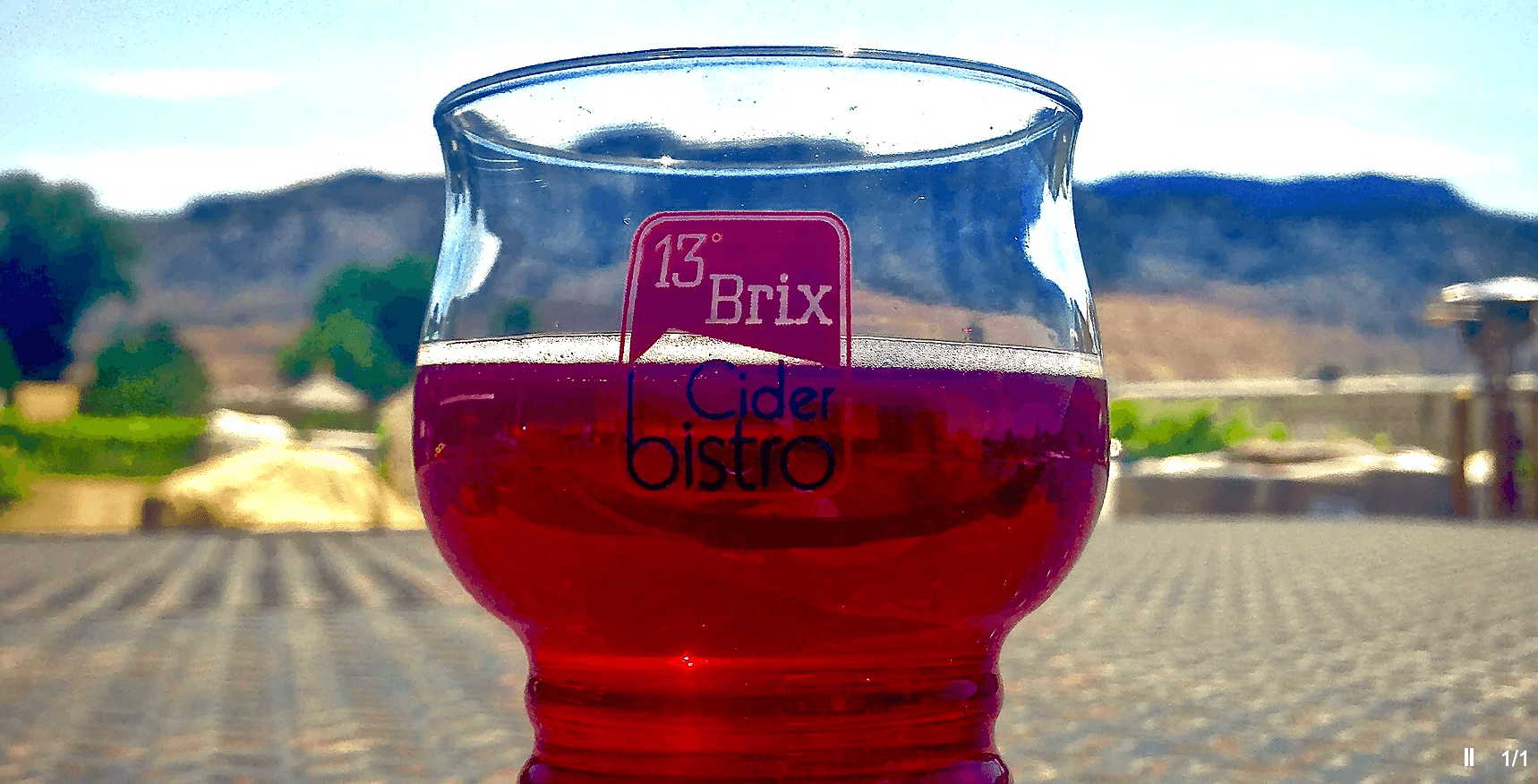 13˚ brix cider bistro photo