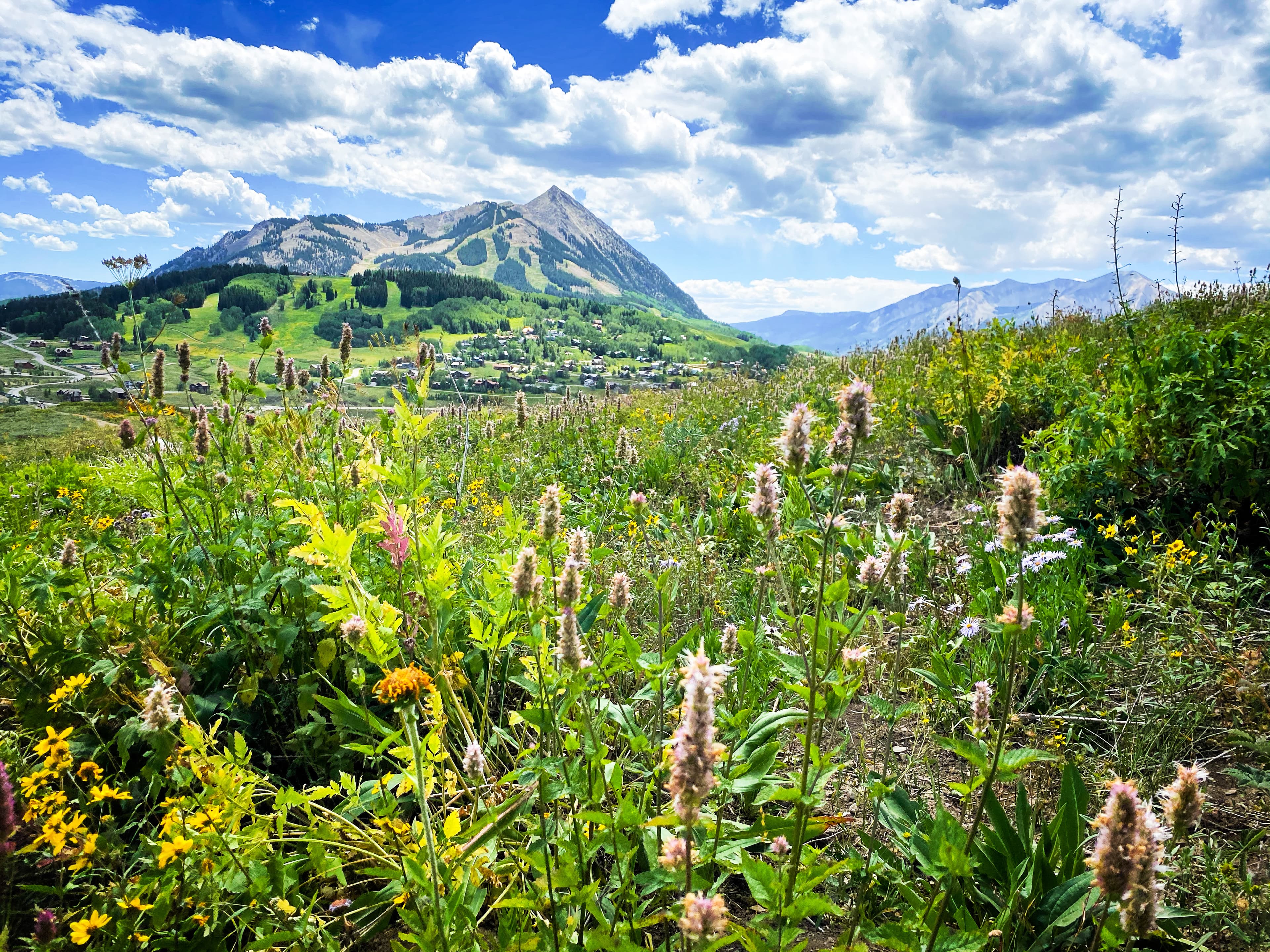 mount crested butte rises above the gunnison valley photo