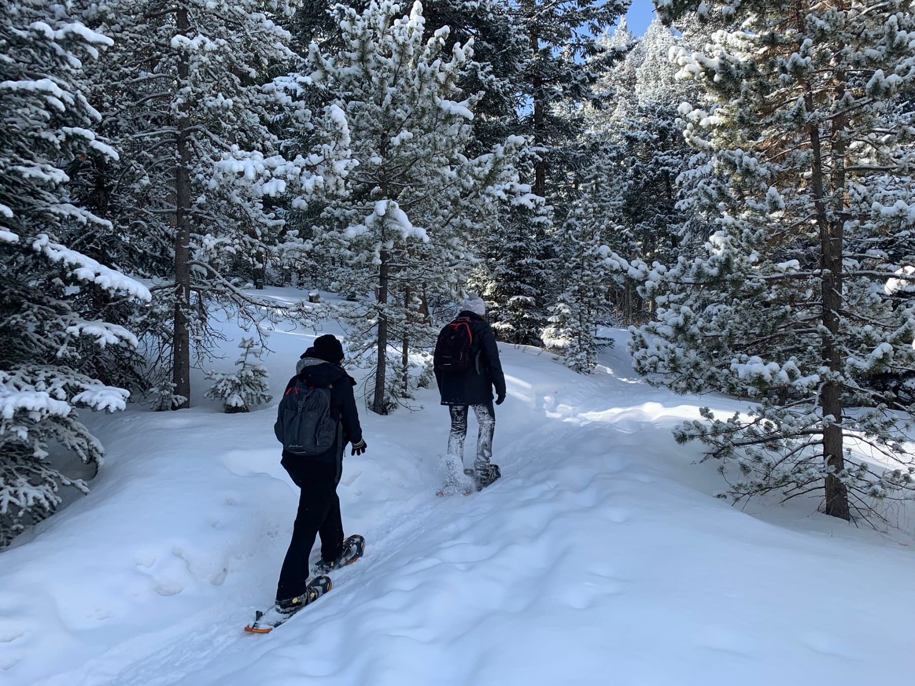snowshoe with family and friends! photo 18
