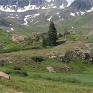 town of south fork photo