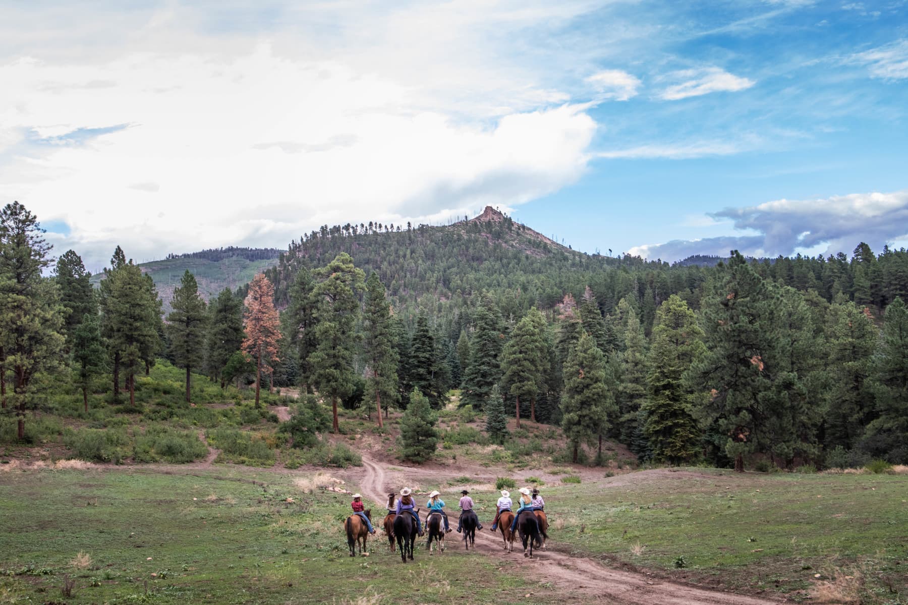 colorado trails ranch photo 7