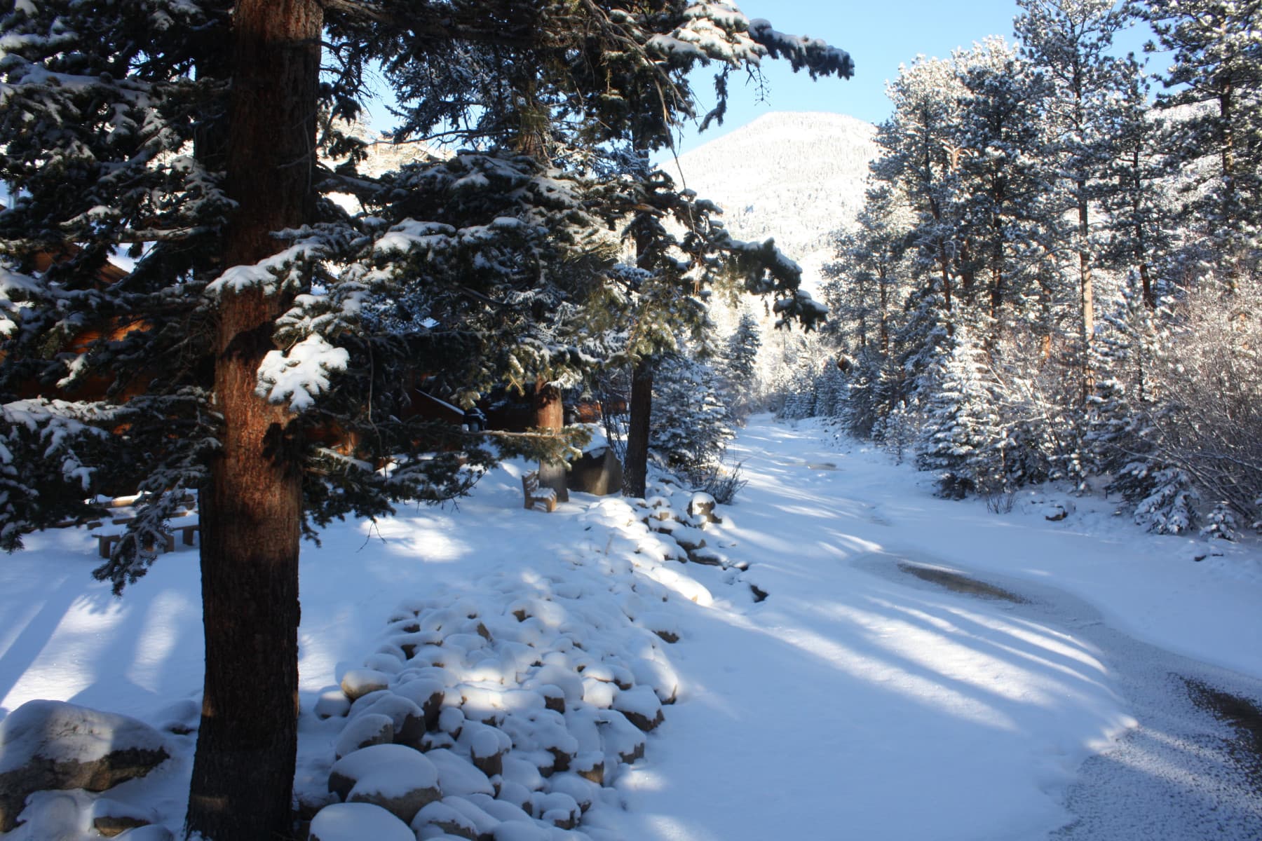 winter photo