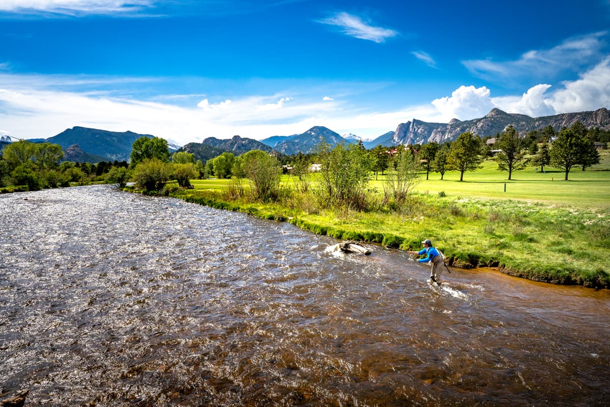 A person fly-fishes in a river lined with bright green grasses in Estes Park, Colorado