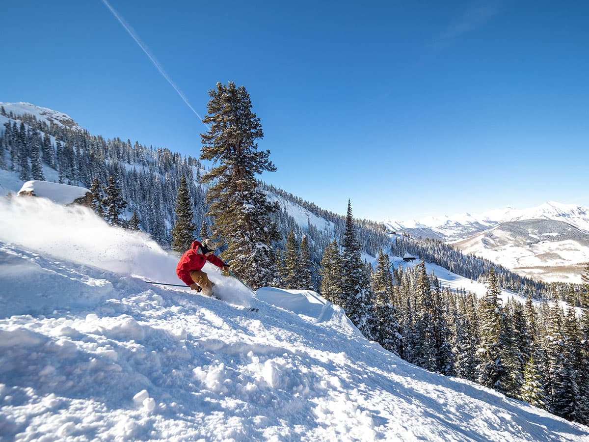 Steep, snow-covered ski run with a skier and pine trees on it