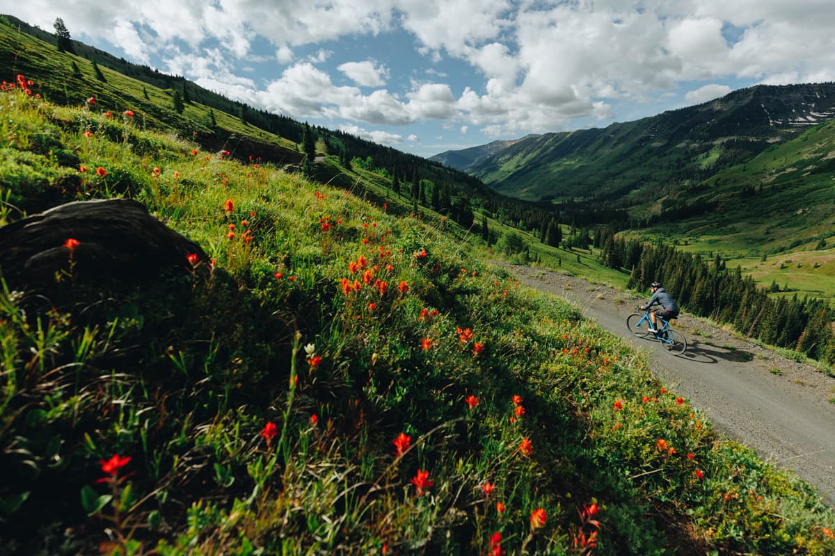Gravel biker rides uphill in the mountains of Crested Butte and Gunnison, surrounded by red wildfloers