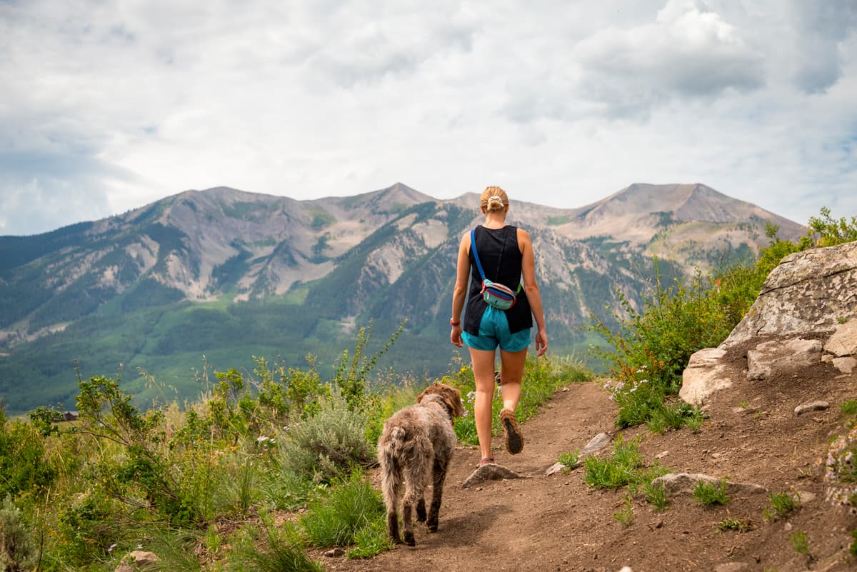 A person hikes through the mountains of Crested Butte Colorado with their dog.