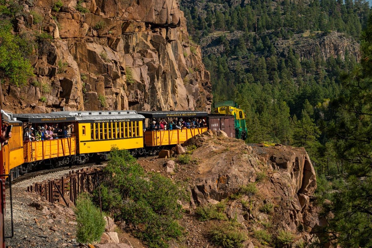 A yellow Durango & Silverton train with passengers rides into the lush San Juan National Forest in Colorado