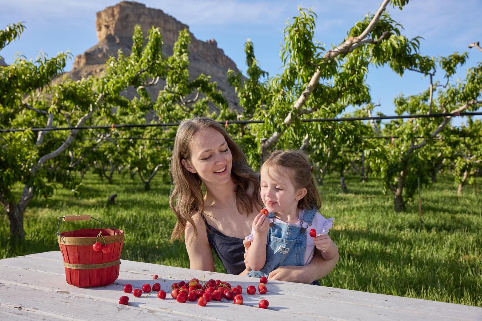 A woman and daughter sit at a Colorado orchard's picnic table eating cherries