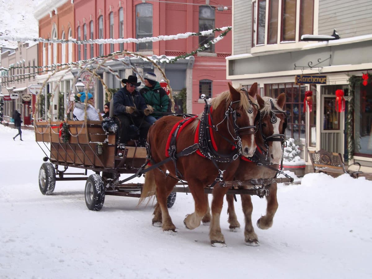 People on a horse-drawn sleigh ride on a snowy day at the Georgetown Christmas Market