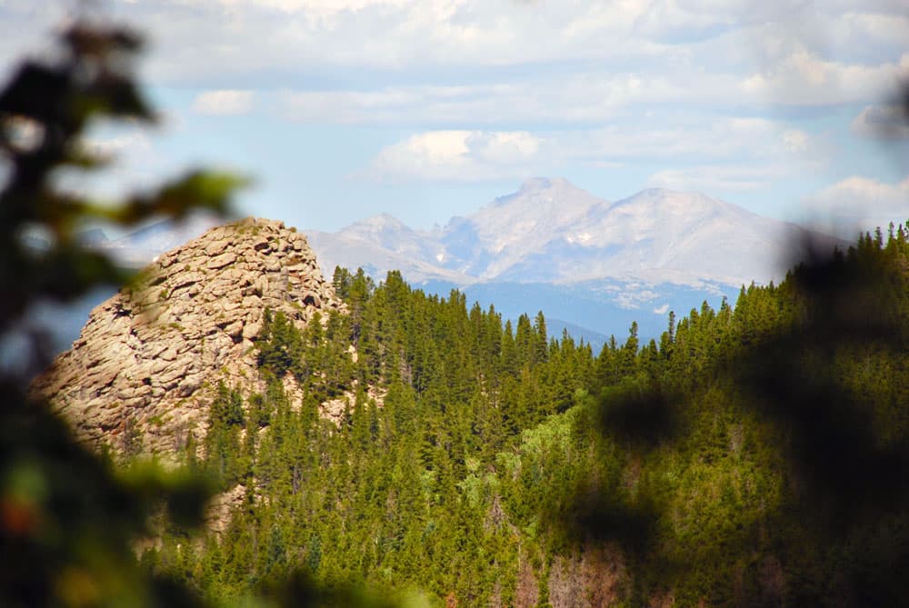 Peeking between trees, we see a rocky ridge and swath of evergreen trees