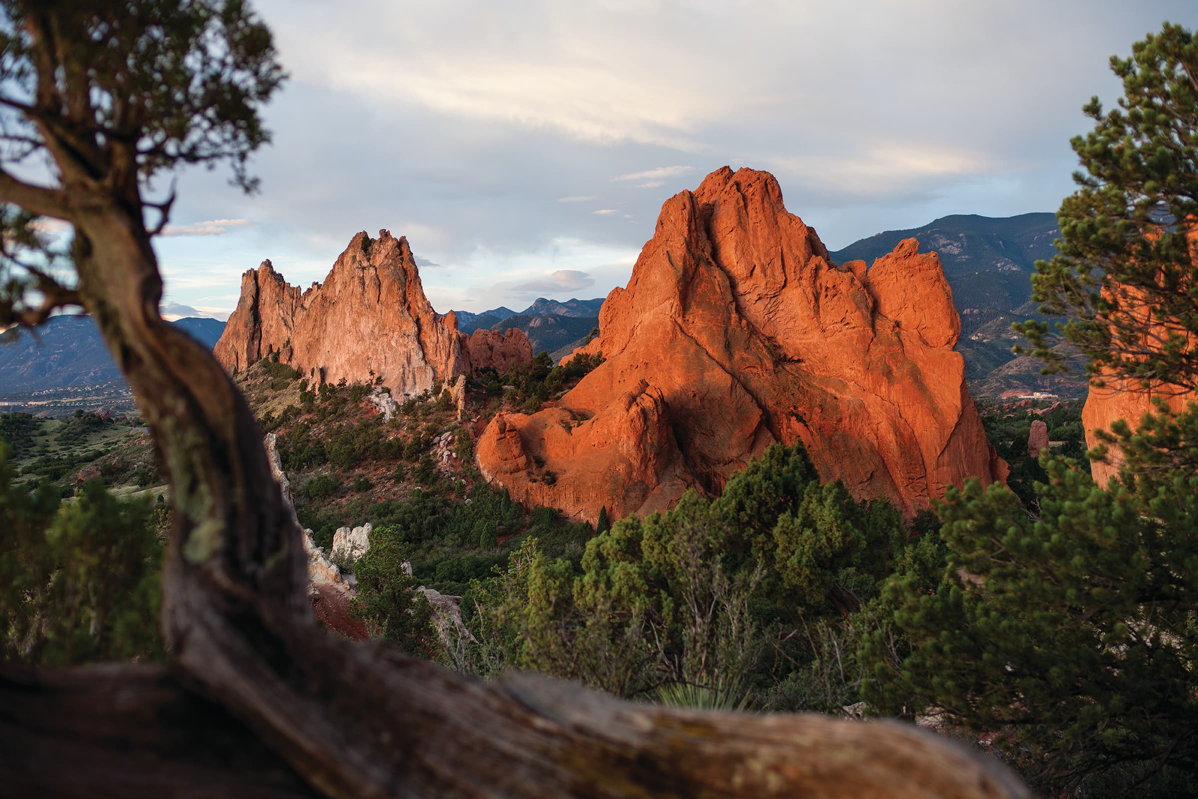 Bright- and deep-rock pillars at the Garden of the Gods in Colorado Springs. The sun setting sun shines upon the formations and they are surrounded by dark-green pine trees.