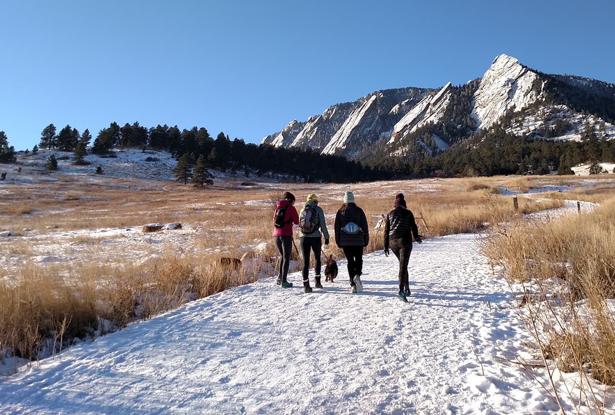 Four people walk side-by-side on a well-traversed, snow-dusted path framed on either side by tall, withered prairie grasses. In the distance a tall Colorado mountain peak looms.