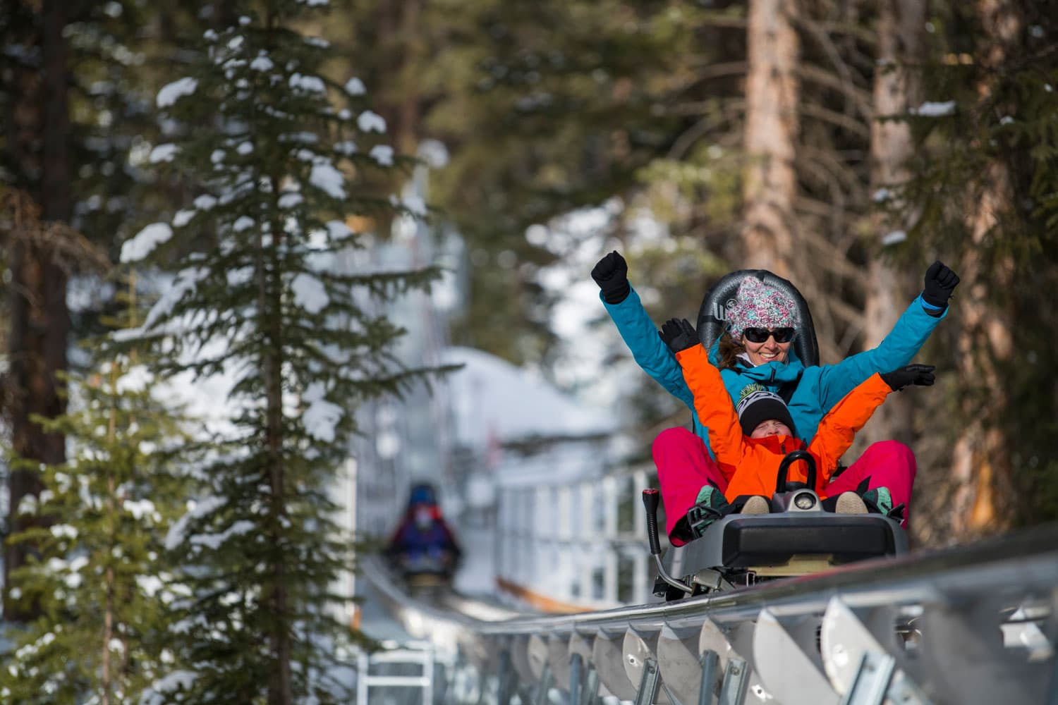A person dressed in teal and red heavy winter clothing raises their arms in excitement as they whiz along a metal track in an evergreen forest on an alpine coaster near Snowmass, Colorado.r thro