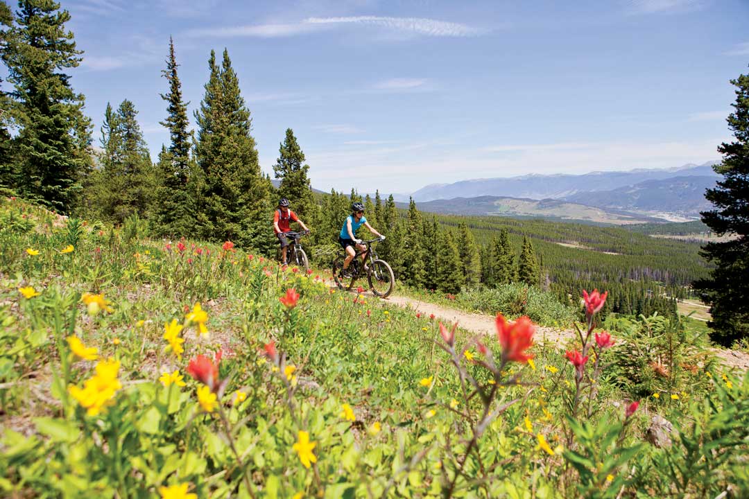 A person biking on a trail past colorful wildflowers at Breckenridge Mountain