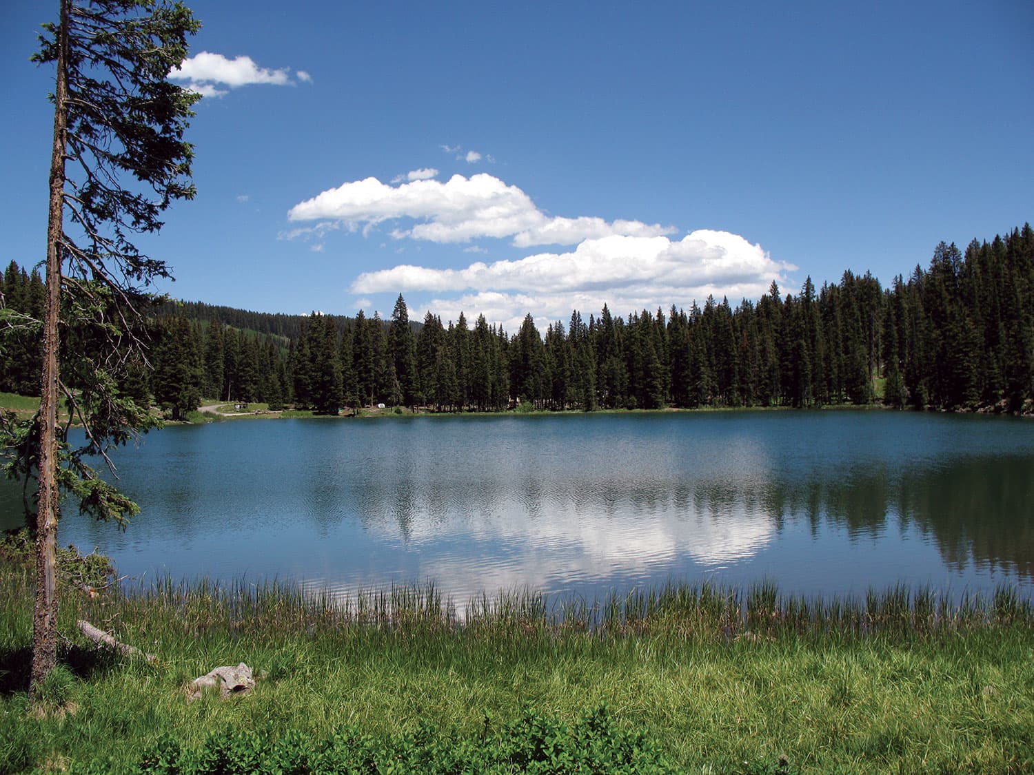 The bluebird sky and a few white, fluffy clouds are reflected in the surface of a massive lake near Cedaredge, Colorado.