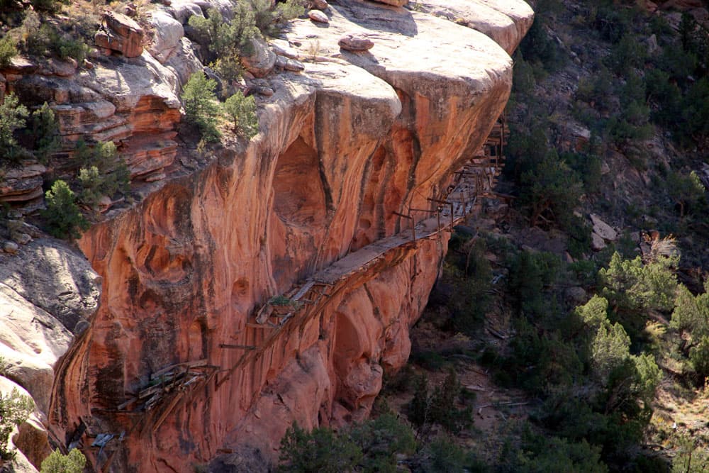 On the side of a red-rock cliff wall in Colorado hangs a historical hanging flume structure. At the base of the canyon wall starts a thick green forest.