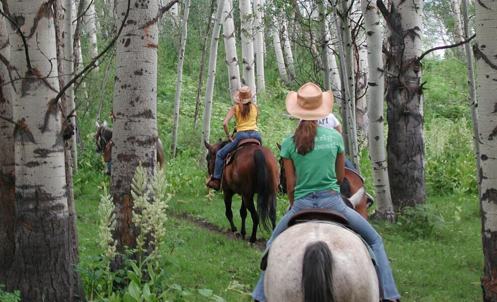A person on a white horse and a person on a brown horse ride along a narrow, dirt trail through a grassy patch in aspen forest in Colorado.