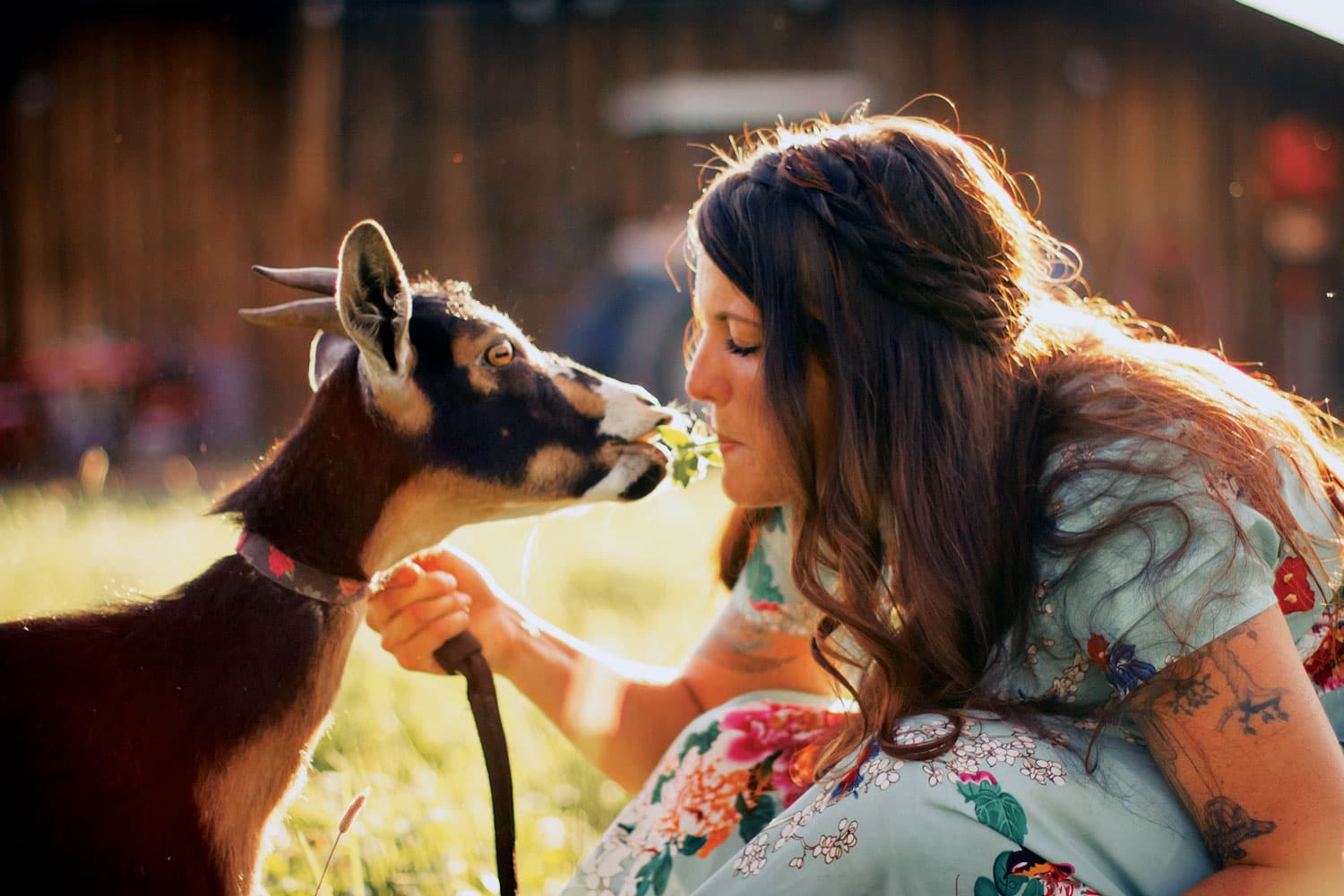 Making goat friends at Shepperly Farm