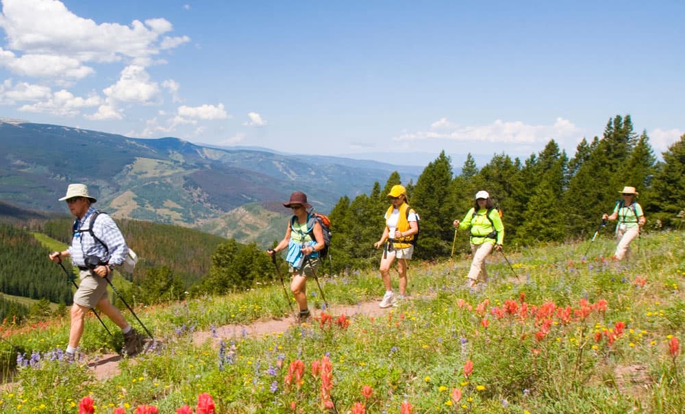 Five hikers with hats, walking sticks and backpacks traverse a mountain trail in Colorado amid a stunning array of red, yellow and purple wildflowers.
